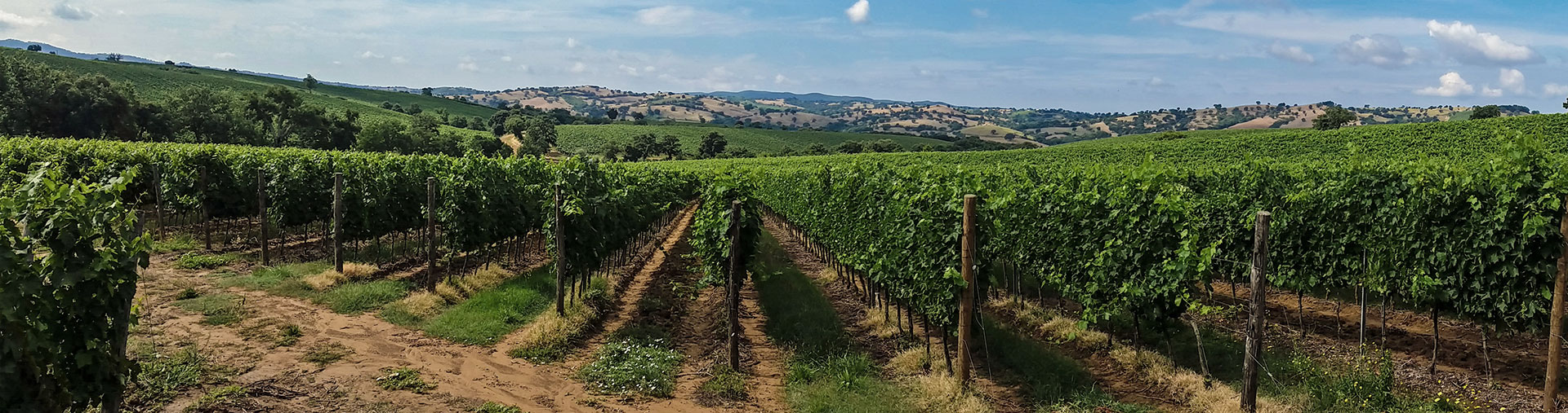 DÉCOUVERTE DE L'ALSACE AVEC KIRRWILLER ET ROYAL PALACE - Deuxième image