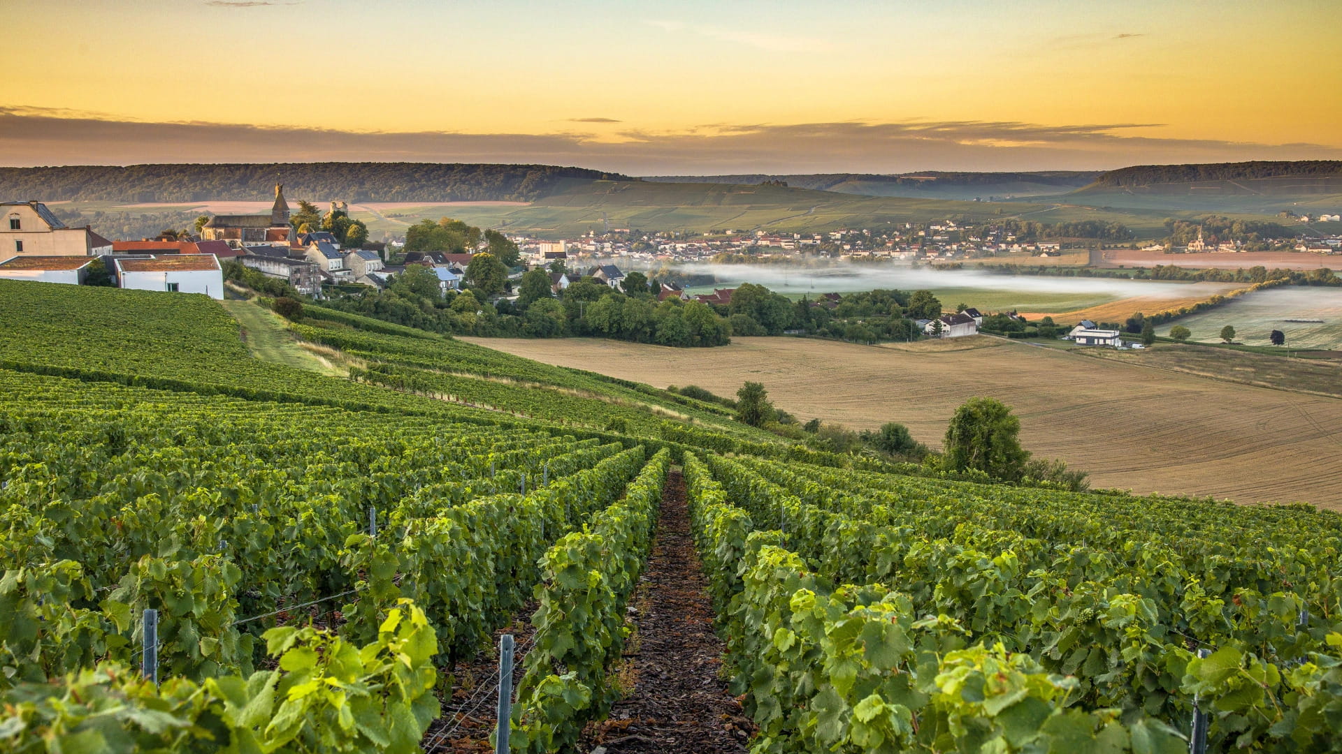 SEJOUR DECOUVERTE EN CHAMPAGNE - Deuxième image