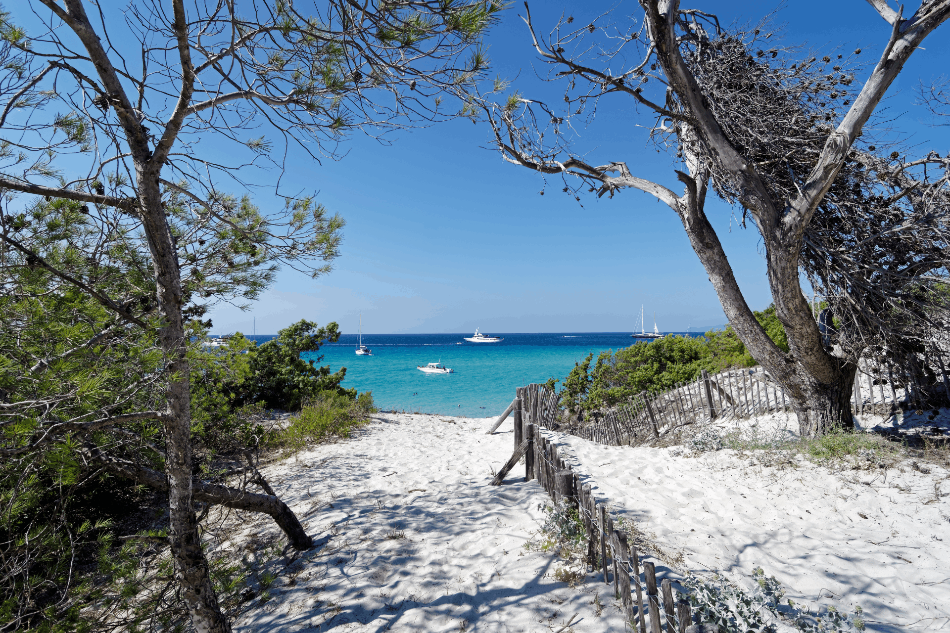 SÉJOUR DÉCOUVERTE DE LA CORSE - Deuxième image