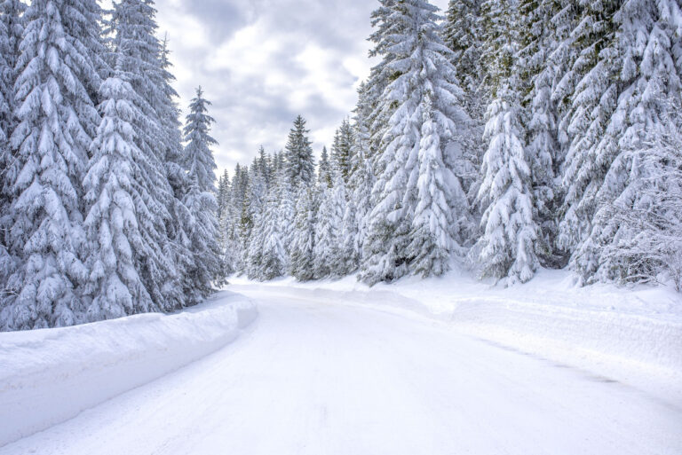 Neige
