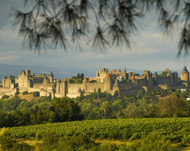 Jour E - Cité de Carcassonne & les caves de Limoux
