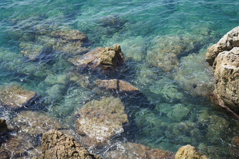 Mer