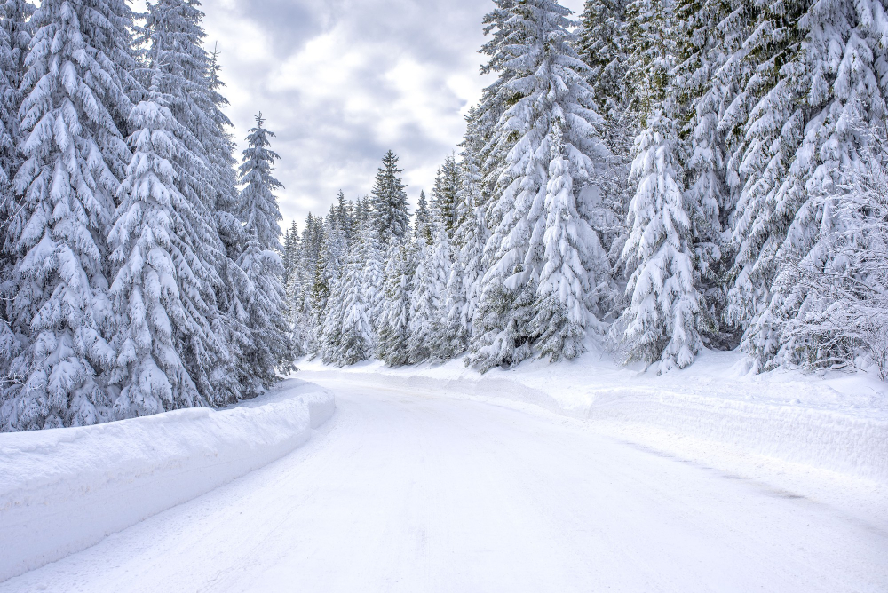 Neige