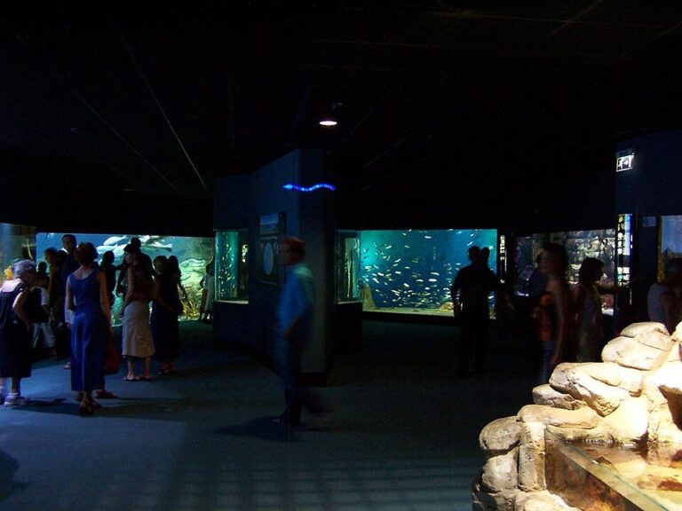 Aquarium La Rochelle