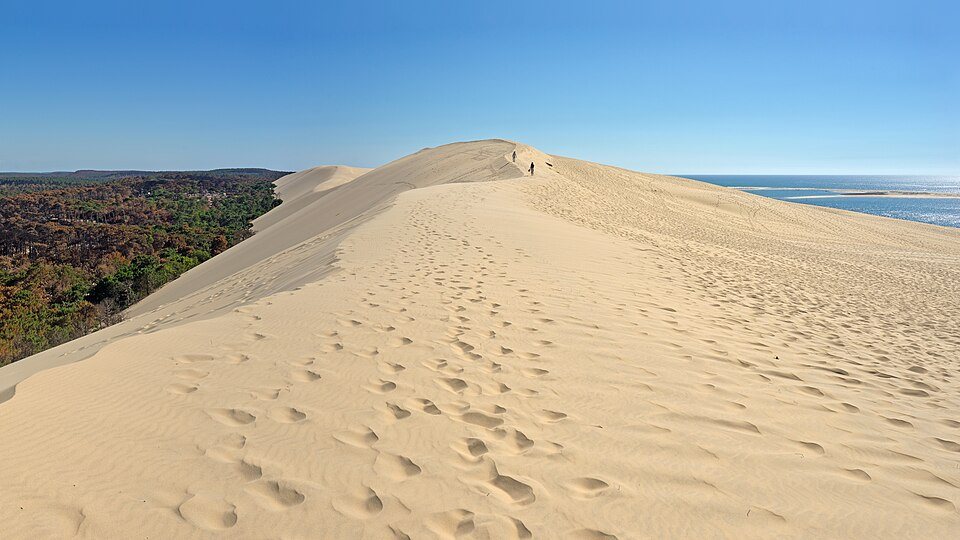 La crête de sable de la Dune du Pilat entre forêt et océan