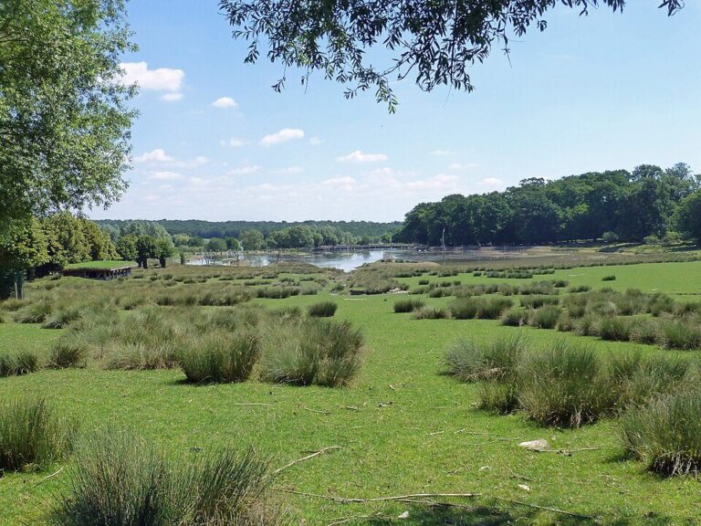 Parc animalier de Sainte-Croix
