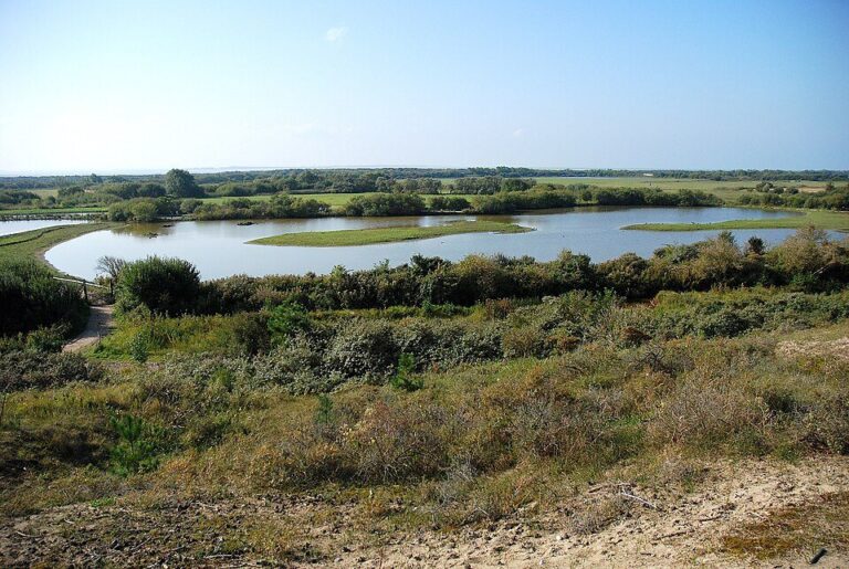 Parc du Marquenterre