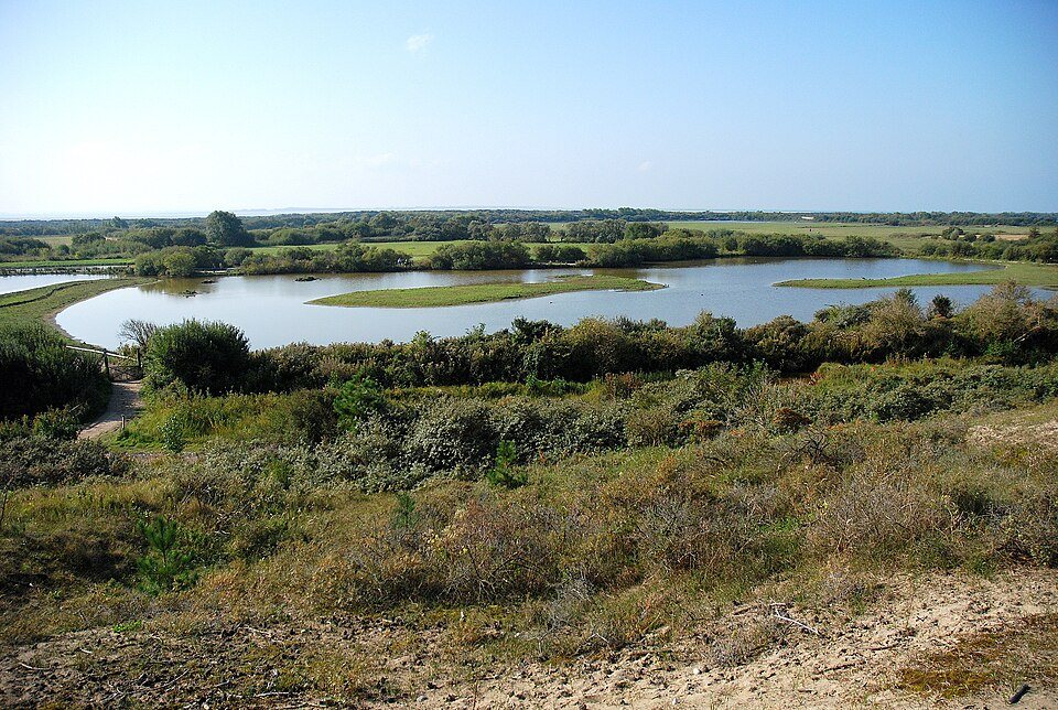 Les étangs et les dunes du Parc du Marquenterre