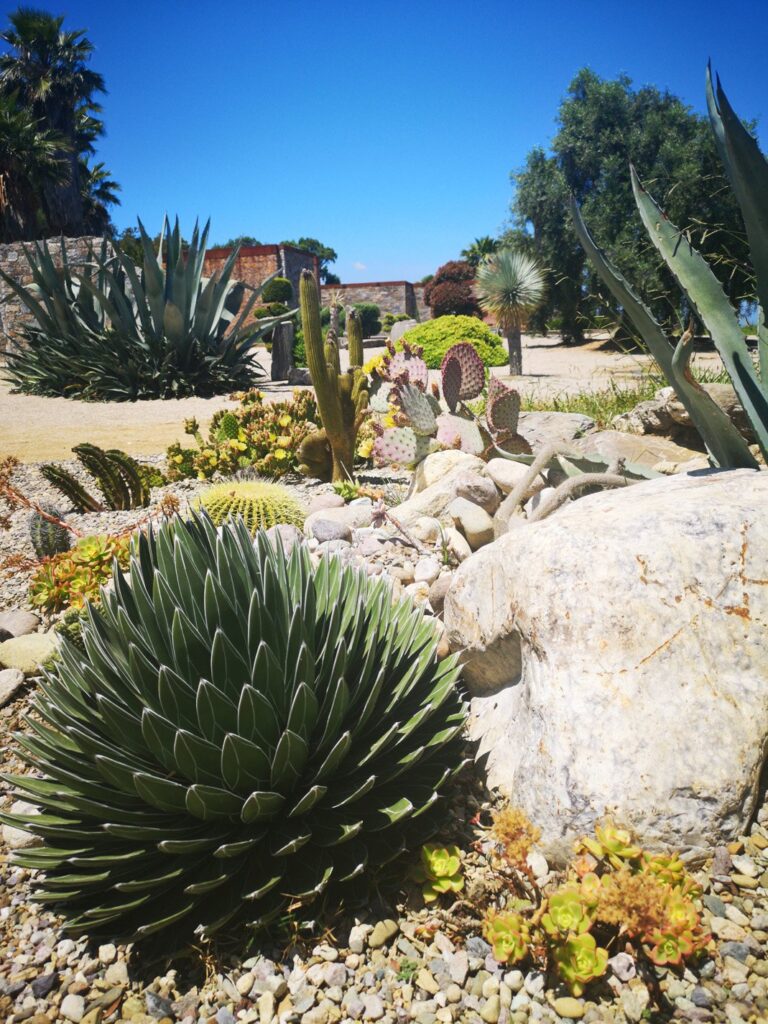 Parc Galea