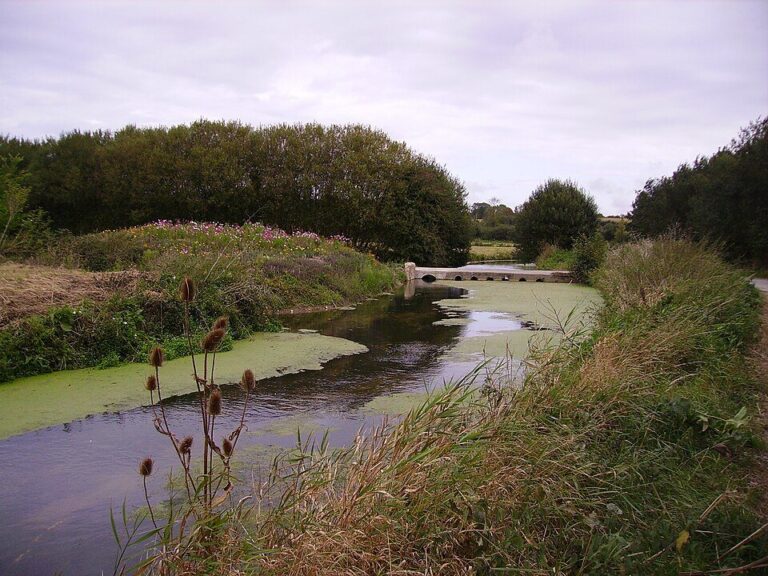 Parc naturel régional des Marais du Cotentin