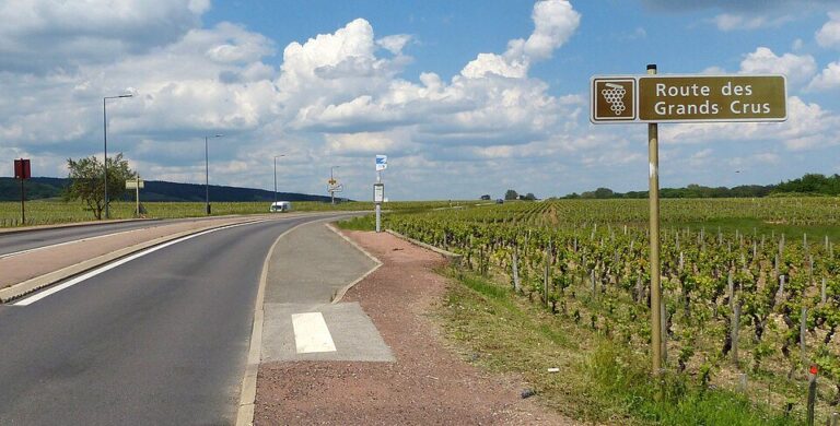 Route des Grands Crus de Bourgogne