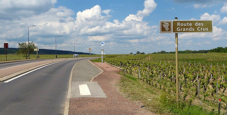A Route des Grands Crus sign beside the Burgundy vineyards