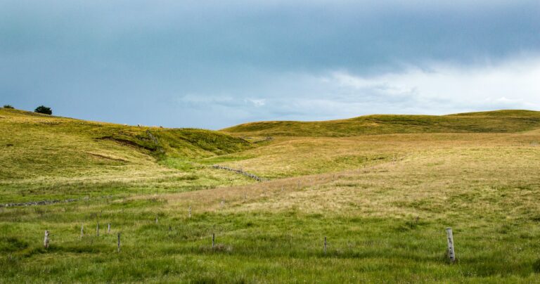 Day D - Hiking on the Aubrac