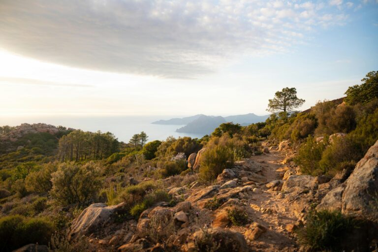 Tag E - Die „4 Wunder“, Porto & Calanche de Piana