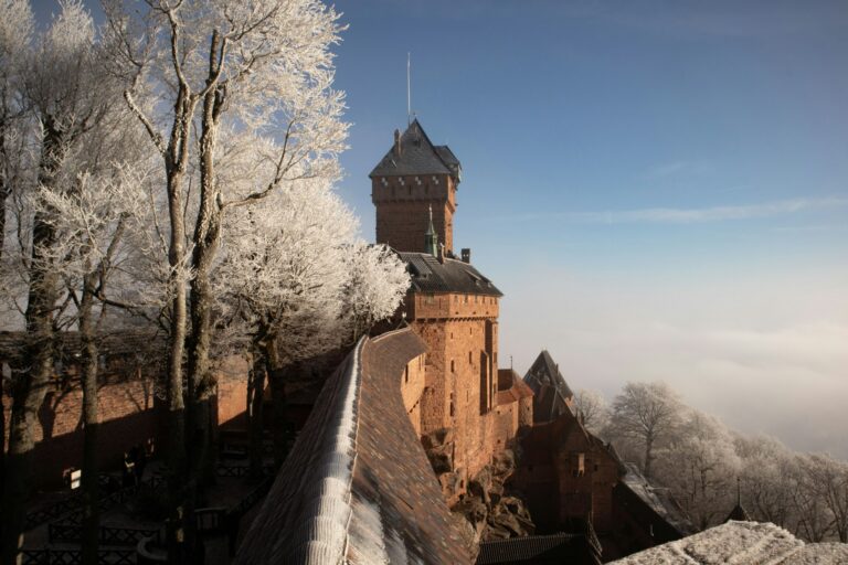 Jour E - Haut-Koenigsbourg & Obernai