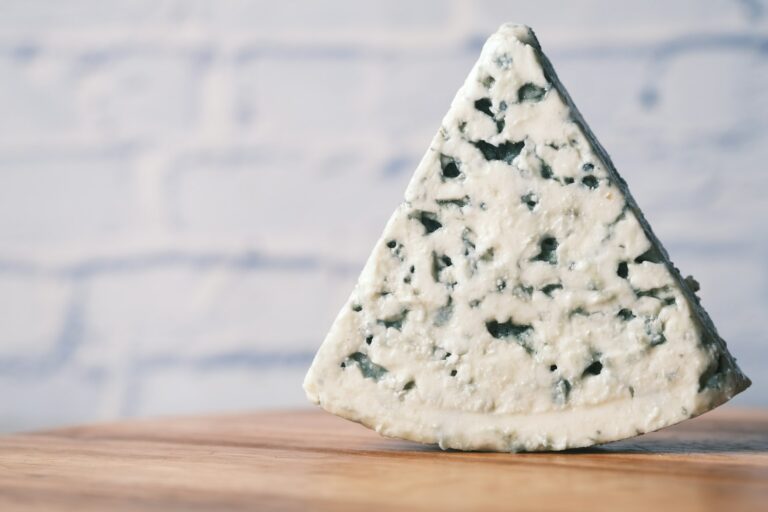Jour D - Autour du fromage (près de Millau)