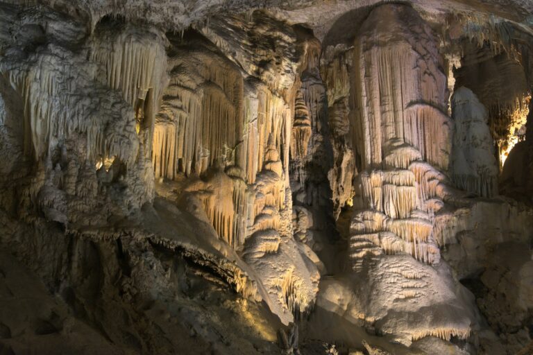 Giorno E - La grotta delle Carbonnières, il circuito di Assier & Figeac