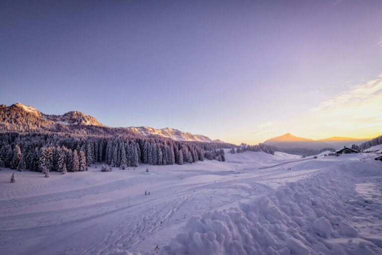 Jour C - Le plateau des Glières