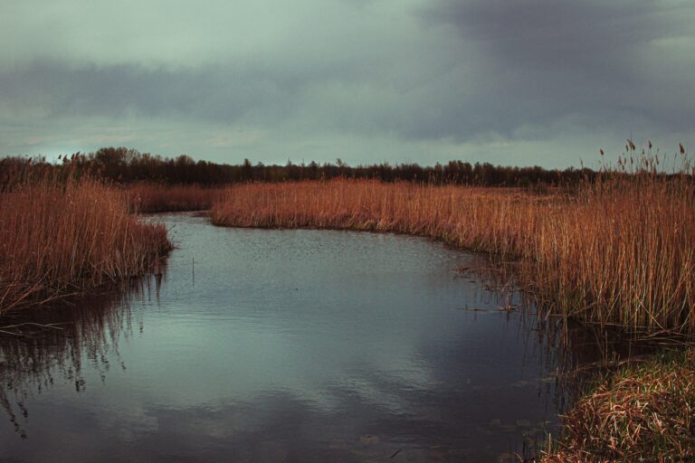 Jour C - Saint-Omer, le marais audomarois & la Coupole d’Helfaut
