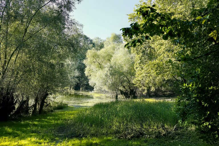 Jour E - Mesnil-Saint-Père & lac d’Orient (journée repos chauffeur)