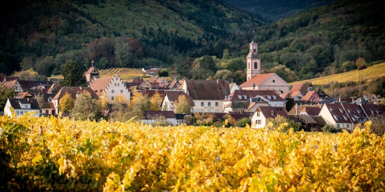 Jour C - La route des vins