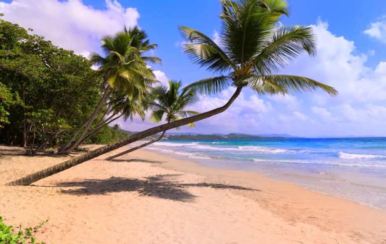 Martinique