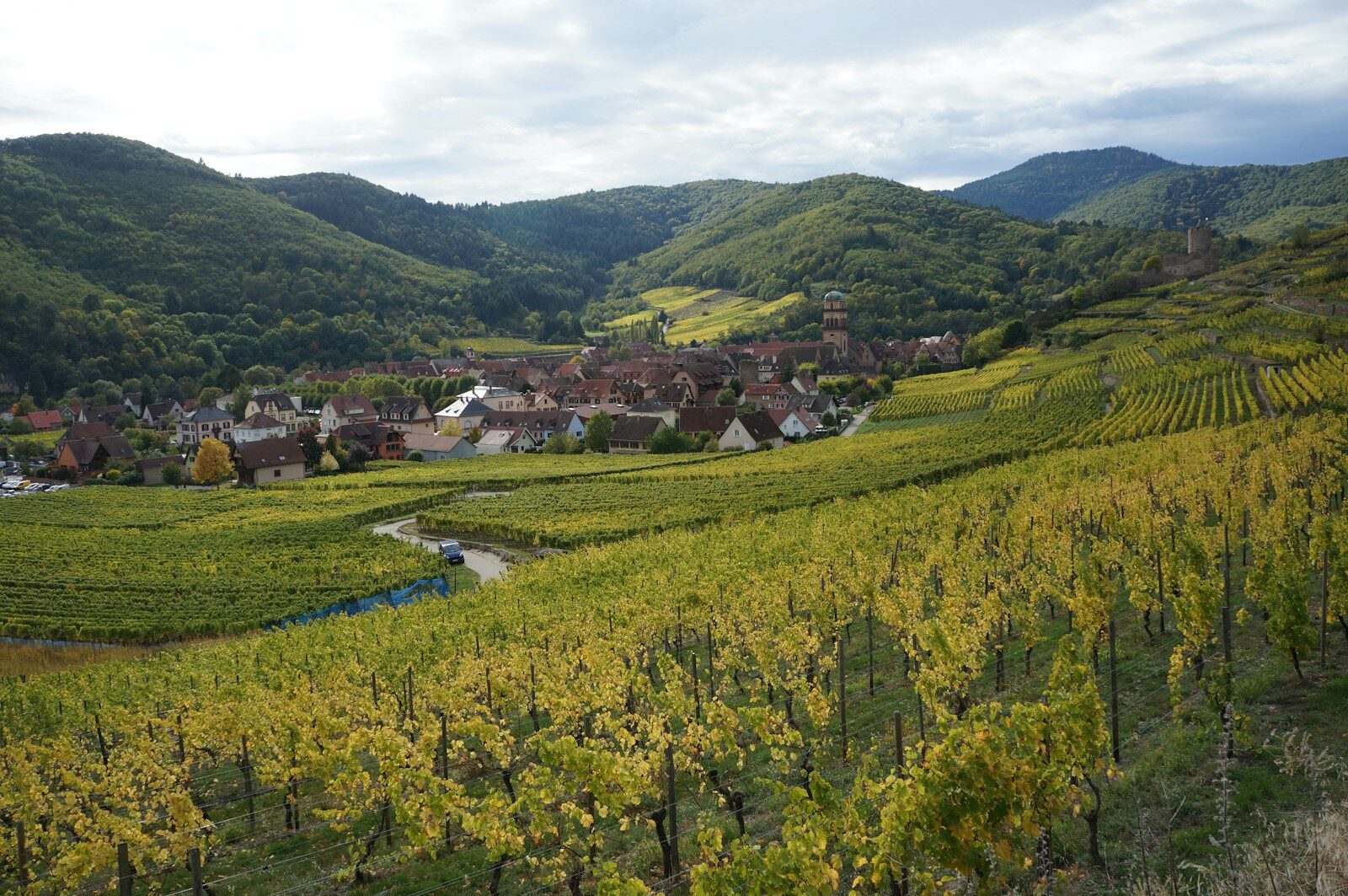 Alsace, land of history, authenticity and gastronomy